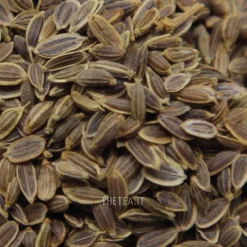 Clearance ANETO (DILL) SEMI Spezie