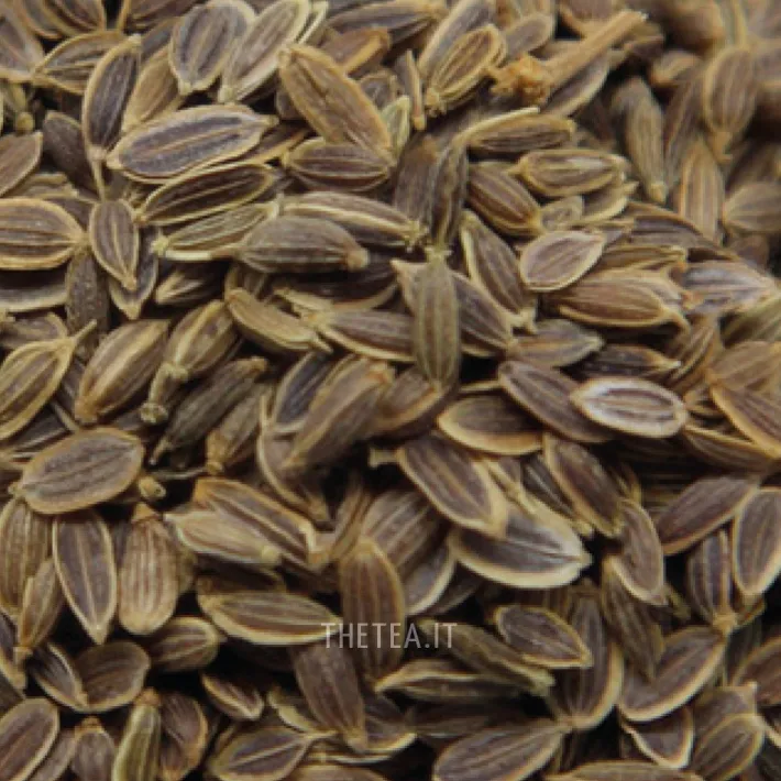 Clearance ANETO (DILL) SEMI Spezie