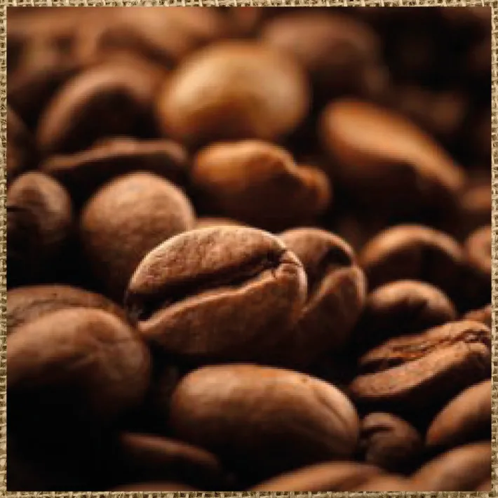 New ARABICA 100% Caffè