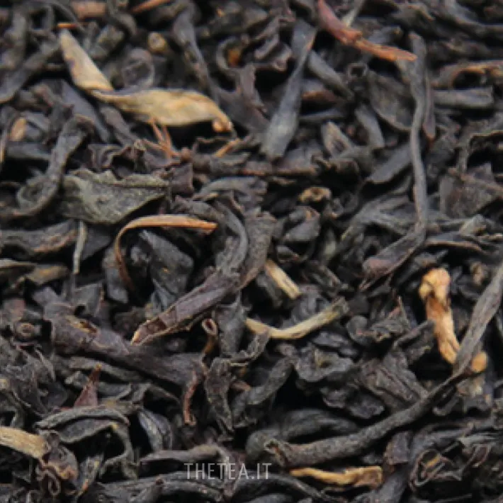 Clearance ASSAM TGFOP1 DIKOM Foglie Di Tè