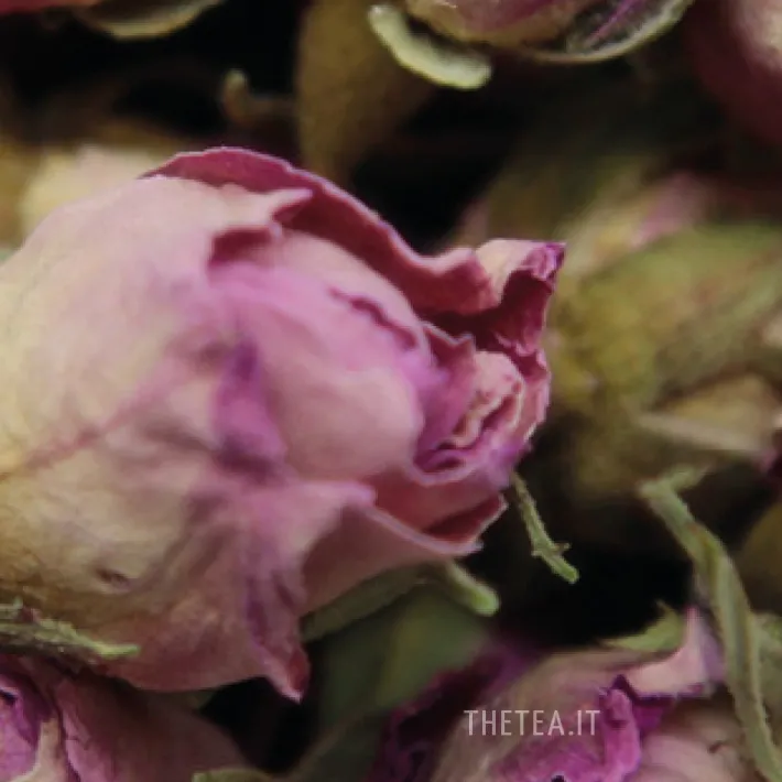 Clearance BOCCIOLI DI ROSA Spezie