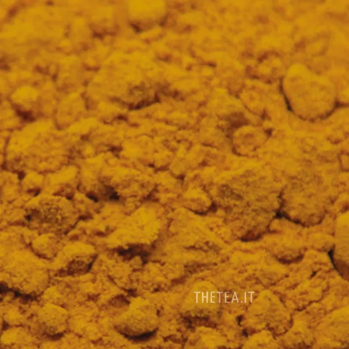 Online CURCUMA Spezie