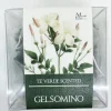Sale FILTRI – GELSOMINO Filtri A Piramide