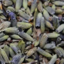 Sale FIORI DI LAVANDA BLU Spezie