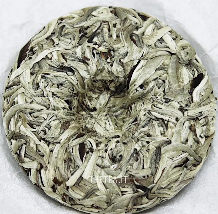 Clearance PU’ER JING GU WHITE – tea cake Foglie Di Tè