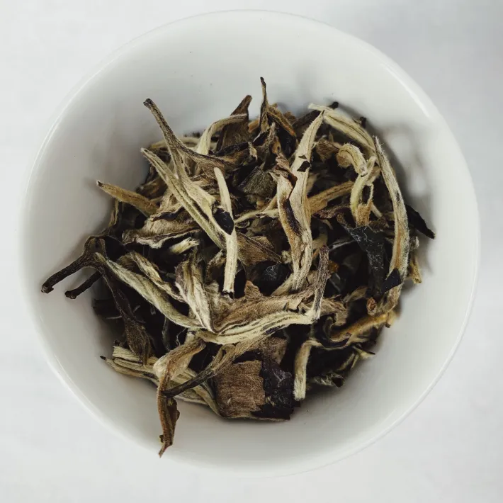 Clearance YUE GUANG BAI – Ancient Trees Foglie Di Tè